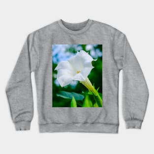Datura Flower Photograph Crewneck Sweatshirt